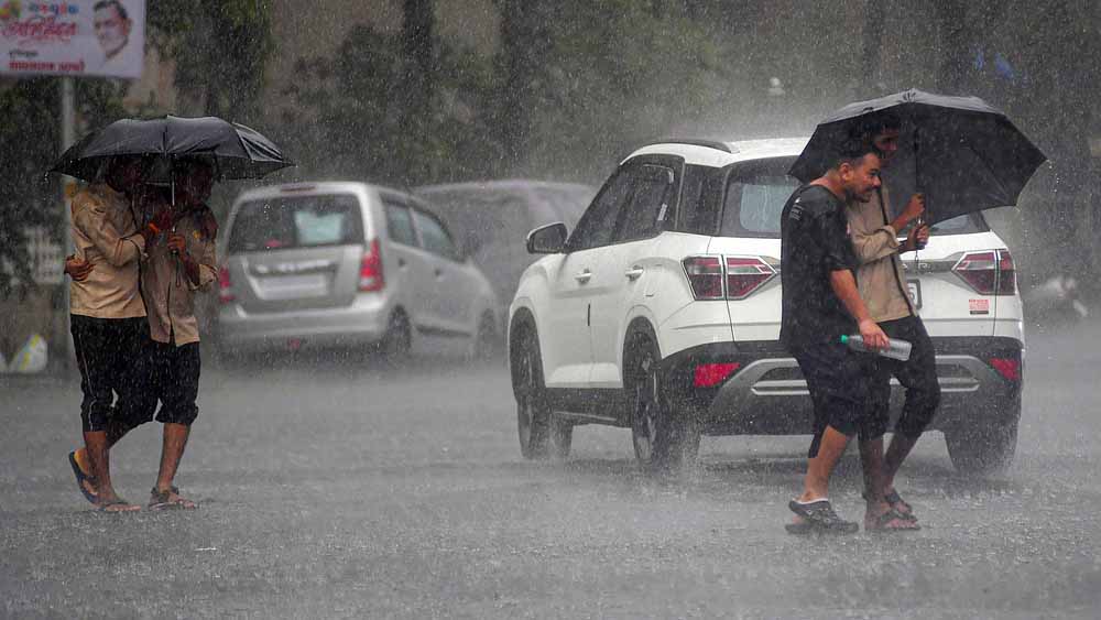 छत्तीसगढ़ में फिर एक्टिव होगा मानसून, अगले 48 घंटे भारी बारिश के आसार, कई क्षेत्रों में अलर्ट छत्तीसगढ़ में फिर एक्टिव होगा मानसून, अगले 48 घंटे भारी बारिश के आसार, कई क्षेत्रों में अलर्ट