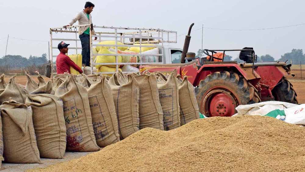 CG के किसानों को बड़ी राहत, धान बेचने की परेशानी का घर बैठे हुआ समाधान CG के किसानों को बड़ी राहत, धान बेचने की परेशानी का घर बैठे हुआ समाधान