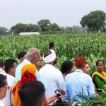 अम्बिकापुर के किसानों को मिली बड़ी मदद, राष्ट्रीय खाद्य सुरक्षा एवं पोषण मिशन से बढ़ा आत्मविश्वास अम्बिकापुर के किसानों को मिली बड़ी मदद, राष्ट्रीय खाद्य सुरक्षा एवं पोषण मिशन से बढ़ा आत्मविश्वास