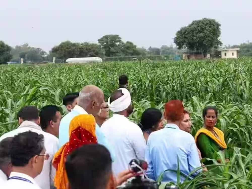अम्बिकापुर के किसानों को मिली बड़ी मदद, राष्ट्रीय खाद्य सुरक्षा एवं पोषण मिशन से बढ़ा आत्मविश्वास