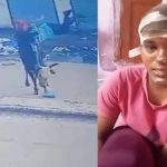 स्कूल जा रही छात्रा पर सांड ने किया हमला, 7 फीट उठाकर पटका; माथे पर लगे 8 टांके स्कूल जा रही छात्रा पर सांड ने किया हमला, 7 फीट उठाकर पटका; माथे पर लगे 8 टांके