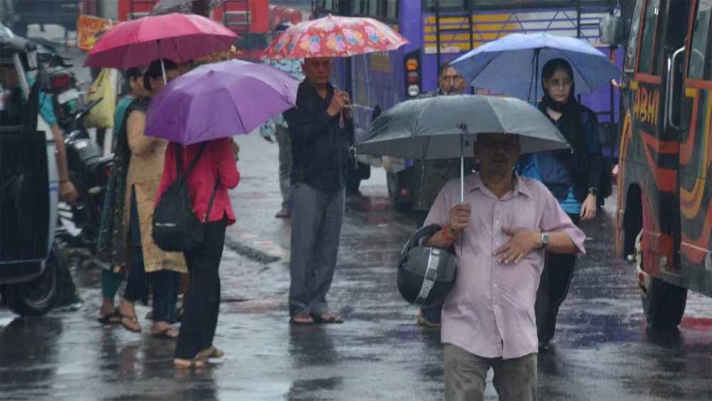 कमजोर मानसून ने बढ़ाई हरियाणा में उमस, कुछ इलाकों में बूंदाबांदी से मिली राहत कमजोर मानसून ने बढ़ाई हरियाणा में उमस, कुछ इलाकों में बूंदाबांदी से मिली राहत