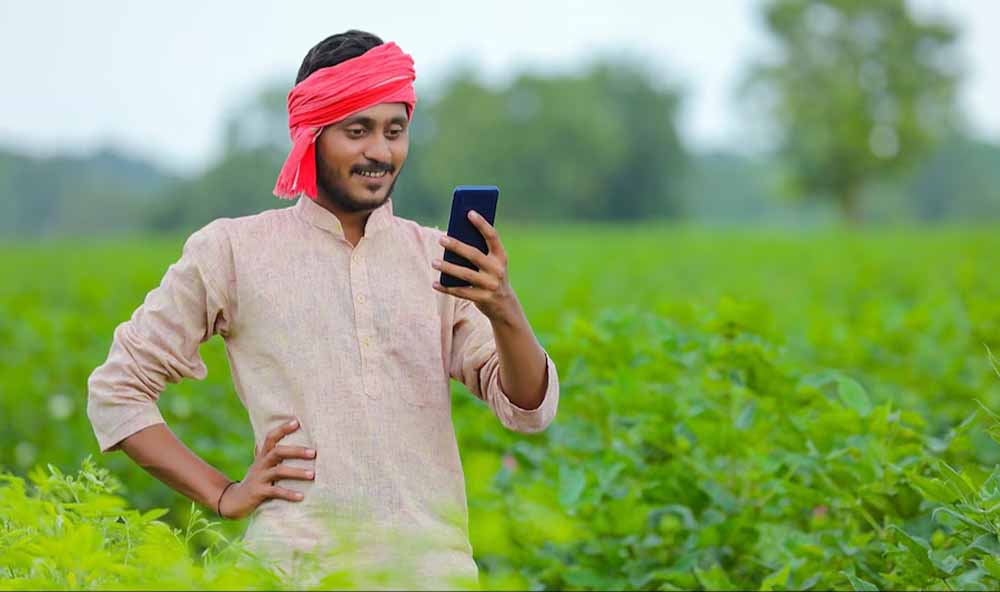 अब मोबाइल बताएगा फसल की बीमारी! किसान फोटो भेजकर तुरंत जान सकेंगे समस्या अब मोबाइल बताएगा फसल की बीमारी! किसान फोटो भेजकर तुरंत जान सकेंगे समस्या