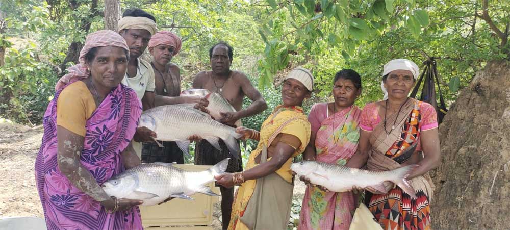 मछली पालन से सशक्त हुईं मनोरा और दुलदुला की महिलाएं, लाखों की आय से बदली जीवन की तस्वीर