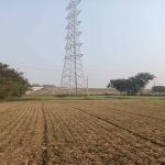 Rewa News: 88 घंटे की भूख हड़ताल के बाद मानी बात, आधी रात कलेक्टर ने दिया आश्वासन Rewa News: 88 घंटे की भूख हड़ताल के बाद मानी बात, आधी रात कलेक्टर ने दिया आश्वासन