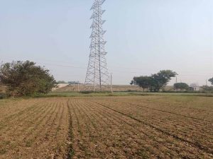 Rewa News: 88 घंटे की भूख हड़ताल के बाद मानी बात, आधी रात कलेक्टर ने दिया आश्वासन Rewa News: 88 घंटे की भूख हड़ताल के बाद मानी बात, आधी रात कलेक्टर ने दिया आश्वासन