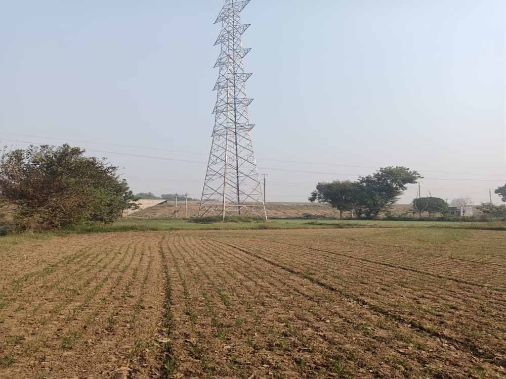 Rewa News: 88 घंटे की भूख हड़ताल के बाद मानी बात, आधी रात कलेक्टर ने दिया आश्वासन Rewa News: 88 घंटे की भूख हड़ताल के बाद मानी बात, आधी रात कलेक्टर ने दिया आश्वासन