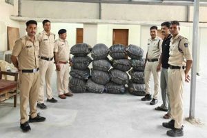 विगत एक सप्ताह में लगभग 5 करोड़ 41 लाख रुपए से अधिक मूल्य के मादक पदार्थ एवं अन्य संपत्ति जब्त