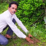 शहडोल संभागीय अध्यक्ष प्रकाश सोनी ने लगाए नीम के पौधे