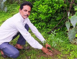 शहडोल संभागीय अध्यक्ष प्रकाश सोनी ने लगाए नीम के पौधे