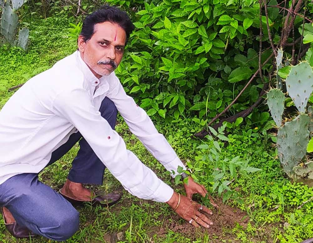 शहडोल संभागीय अध्यक्ष प्रकाश सोनी ने लगाए नीम के पौधे