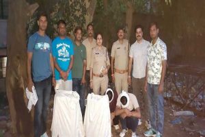 विगत 10 दिनों में प्रदेश में 2 करोड़ 40 लाख रुपये से अधिक के मादक पदार्थ एवं अन्य संपत्ति जब्त
