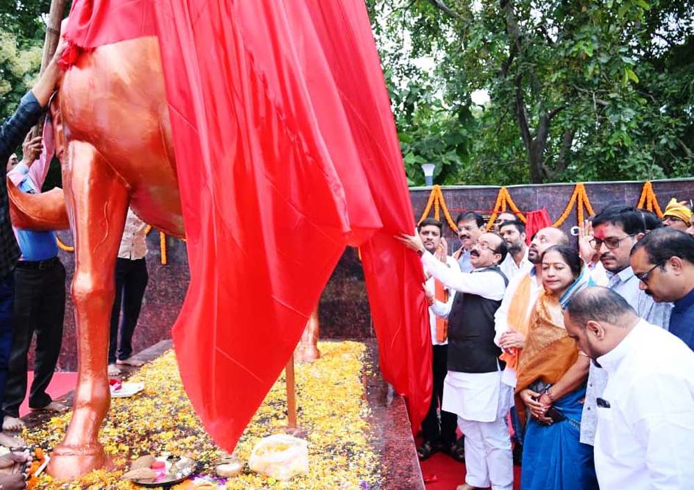 उप मुख्यमंत्री ने शहीद वीर नारायण सिंह की प्रतिमा का किया अनावरण, आदिवासी महासम्मेलन में भी हुए शामिल