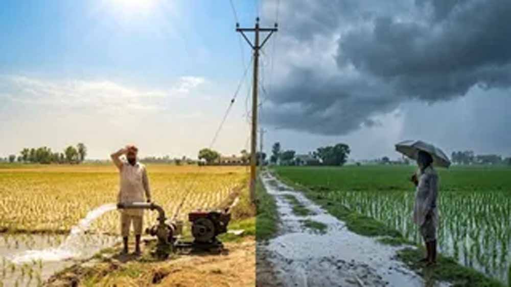 पंजाब सरकार का बड़ा ऐलान, 5 हजार करोड़ खर्च कर किसानों को 8 घंटे बिजली देगी सरकार पंजाब सरकार का बड़ा ऐलान, 5 हजार करोड़ खर्च कर किसानों को 8 घंटे बिजली देगी सरकार