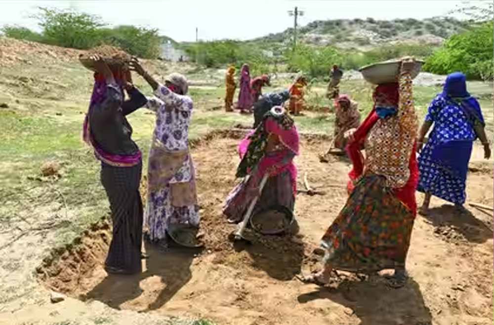 Punjab में लाखों श्रमिकों को झटका, 8 लाख+ जॉब कार्ड रद्द, 14 लाख अपात्र घोषित