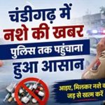 चंडीगढ़ में नशे पर पुलिस का शिकंजा, 7087239010 पर दें सूचना; तुरंत होगी कार्रवाई