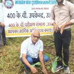 विश्व प्रकृति संरक्षण दिवस पर एमपी ट्रांसको के सब-स्टेशन में हुआ सामूहिक पौध-रोपण विश्व प्रकृति संरक्षण दिवस पर एमपी ट्रांसको के सब-स्टेशन में हुआ सामूहिक पौध-रोपण