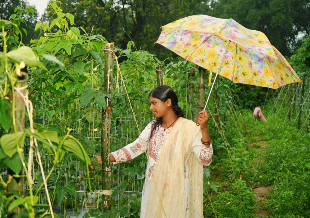 ड्रिप विधि से सब्जी की खेती ने बनाया ‘लखपति दीदी’, सालाना डेढ़ लाख की कमाई ड्रिप विधि से सब्जी की खेती ने बनाया ‘लखपति दीदी’, सालाना डेढ़ लाख की कमाई