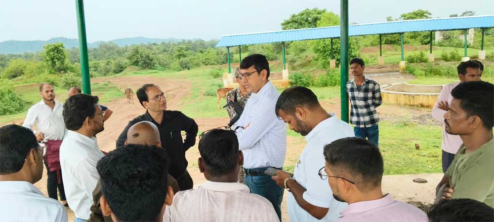 फेसिंग कार्य तत्काल प्रारंभ करने दिए निर्देश फेसिंग कार्य तत्काल प्रारंभ करने दिए निर्देश