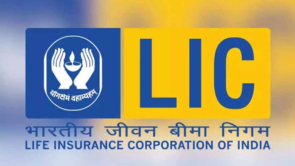 सरकार बेचने वाली है इन कंपनियों में हिस्सेदारी! LIC के बाद निवेशकों के लिए बड़ा मौका