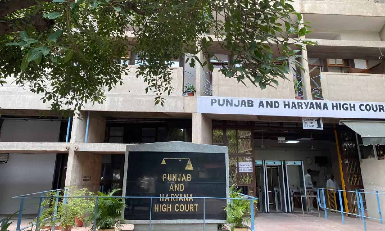 1999 जेबीटी भर्ती मामले में हाई कोर्ट का बड़ा फैसला, लंबित अपीलों का निपटारा 1999 जेबीटी भर्ती मामले में हाई कोर्ट का बड़ा फैसला, लंबित अपीलों का निपटारा