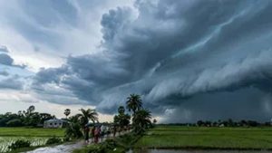 मानसून की तेज बारिश से हरियाणा में जलभराव, दंपती समेत तीन लोगों की मौत मानसून की तेज बारिश से हरियाणा में जलभराव, दंपती समेत तीन लोगों की मौत