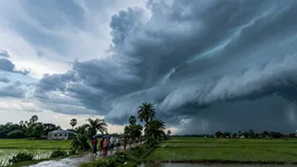 मानसून की तेज बारिश से हरियाणा में जलभराव, दंपती समेत तीन लोगों की मौत