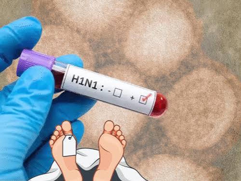 हिसार में स्वाइन फ्लू के 4 नए मरीज मिले, संक्रमितों की संख्या बढ़कर 70 हुई