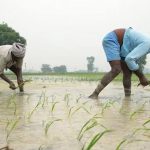 मानसून में बारिश का असमान वितरण, खेती पर असर; बिहार के 14 जिलों में बाढ़ का संकट मानसून में बारिश का असमान वितरण, खेती पर असर; बिहार के 14 जिलों में बाढ़ का संकट