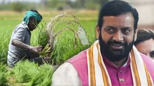 बाजरा किसानों के लिए खुशखबरी, हरियाणा सरकार ₹2900 प्रति क्विंटल का भाव करेगी सुनिश्चित