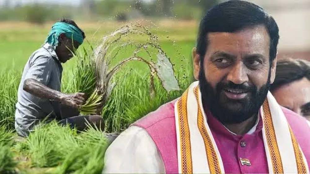 बाजरा किसानों के लिए खुशखबरी, हरियाणा सरकार ₹2900 प्रति क्विंटल का भाव करेगी सुनिश्चित