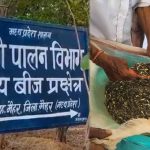 मैहर के पोड़ी केंद्र में किसानों की भीड़, 53 लाख से ज्यादा मछली के बीज बिके; 2027 तक 2.50 करोड़ का लक्ष्य मैहर के पोड़ी केंद्र में किसानों की भीड़, 53 लाख से ज्यादा मछली के बीज बिके; 2027 तक 2.50 करोड़ का लक्ष्य