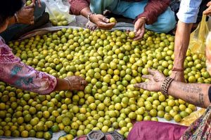नींबू ने बिगाड़ा रसोई का बजट, जोधपुर में 80 से 100 से बढ़कर 250 रुपए किलो हुआ भाव