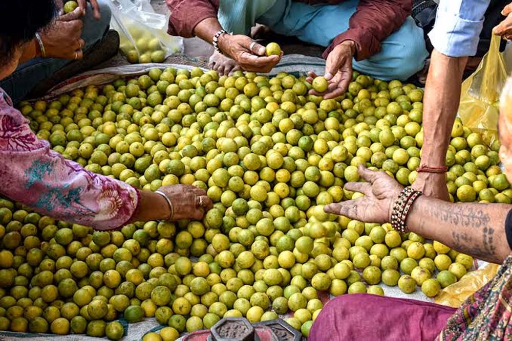 नींबू ने बिगाड़ा रसोई का बजट, जोधपुर में 80 से 100 से बढ़कर 250 रुपए किलो हुआ भाव