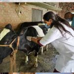 योगी सरकार की बड़ी पहल, हर जिले में गोवंश के लिए बनेगा इमरजेंसी रेस्क्यू सिस्टम