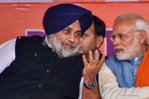 पंजाब की सियासत में नई हलचल! BJP-अकाली दल के फिर साथ आने की अटकलें तेज