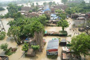 बिहार में बाढ़ से हाहाकार: 200 से अधिक सड़कें डूबीं, 120 स्कूल बंद, हजारों एकड़ फसल बर्बाद
