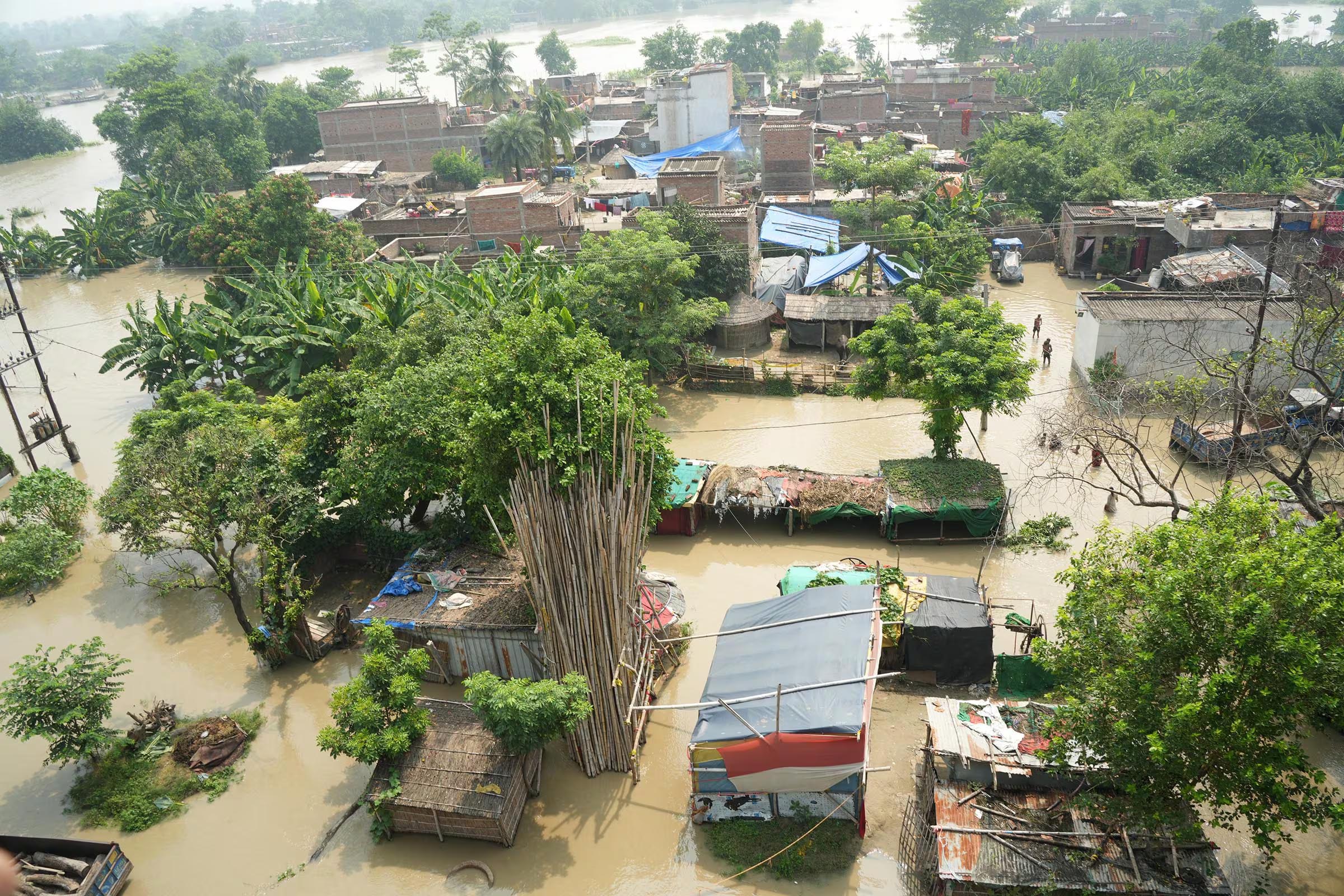 बिहार में बाढ़ से हाहाकार: 200 से अधिक सड़कें डूबीं, 120 स्कूल बंद, हजारों एकड़ फसल बर्बाद