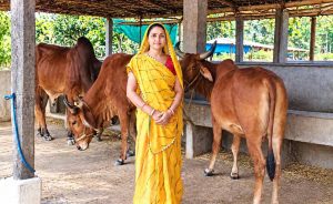 स्व सहायता समूह से जुड़कर आत्मनिर्भर बनीं मीना दीदी स्व सहायता समूह से जुड़कर आत्मनिर्भर बनीं मीना दीदी