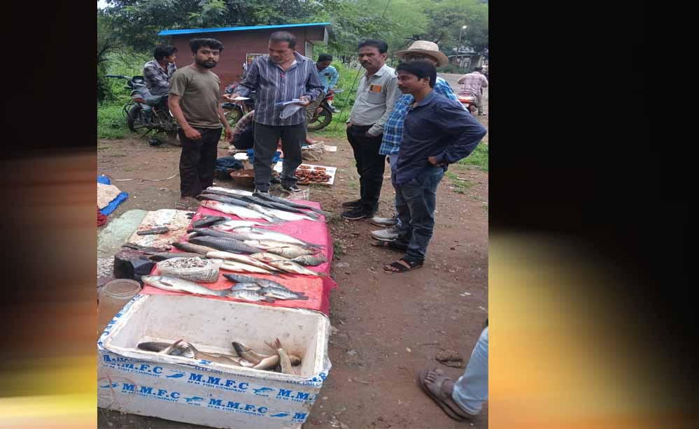 खुले में मछली विक्रय पर नगर पालिका की कार्रवाई, छह दुकानदारों पर 1,500 रुपये जुर्माना खुले में मछली विक्रय पर नगर पालिका की कार्रवाई, छह दुकानदारों पर 1,500 रुपये जुर्माना