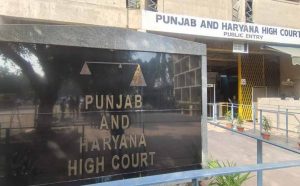17 वर्षीय युवती के निकाह पर पंजाब-हरियाणा HC का फैसला, मुस्लिम पर्सनल लॉ का हवाला