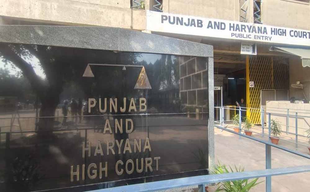 17 वर्षीय युवती के निकाह पर पंजाब-हरियाणा HC का फैसला, मुस्लिम पर्सनल लॉ का हवाला