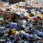 Swachh Survey 2025-26: MP के 15 शहर रैंकिंग की दौड़ में, कचरे के ढेर बढ़ा सकते हैं चिंता