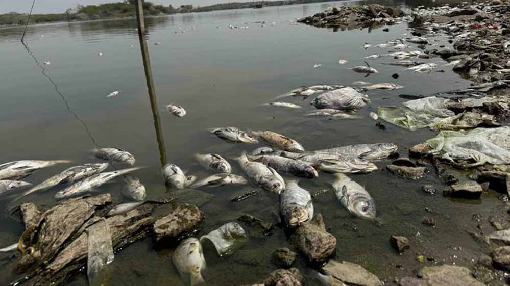 सुपर अल-नीनो की दस्तक से बढ़ेगा गर्मी का कहर? रिपोर्ट ने भारत को लेकर चेताया सुपर अल-नीनो की दस्तक से बढ़ेगा गर्मी का कहर? रिपोर्ट ने भारत को लेकर चेताया