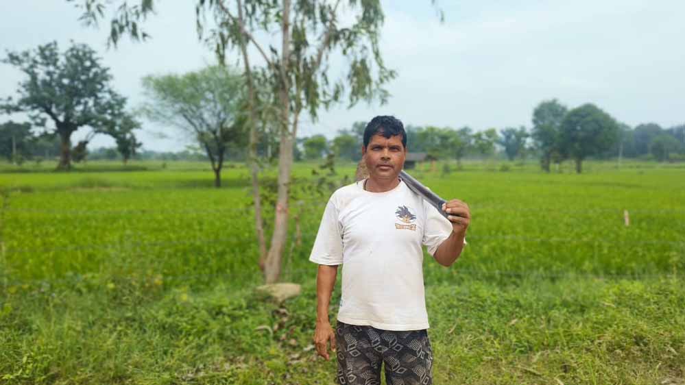 3 एकड़ में धान की खेती, पीएम किसान निधि से दशरथ राठौर को मिली आर्थिक मजबूती