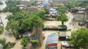 गंगा-पुनपुन का कहर बढ़ा, पटना में बाढ़ का खतरा गंभीर; टूटे रिंग बांध से गांव में घुसा पानी