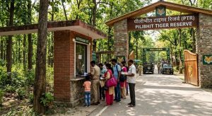 टाइगर रिजर्व में बढ़े टिकट के दाम, विदेशी पर्यटकों को अब देने होंगे 1000 रुपये टाइगर रिजर्व में बढ़े टिकट के दाम, विदेशी पर्यटकों को अब देने होंगे 1000 रुपये