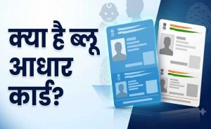 बाल आधार कब बनता है और कब कराना होता है अपडेट? नीले-सफेद आधार का पूरा अंतर जानें बाल आधार कब बनता है और कब कराना होता है अपडेट? नीले-सफेद आधार का पूरा अंतर जानें