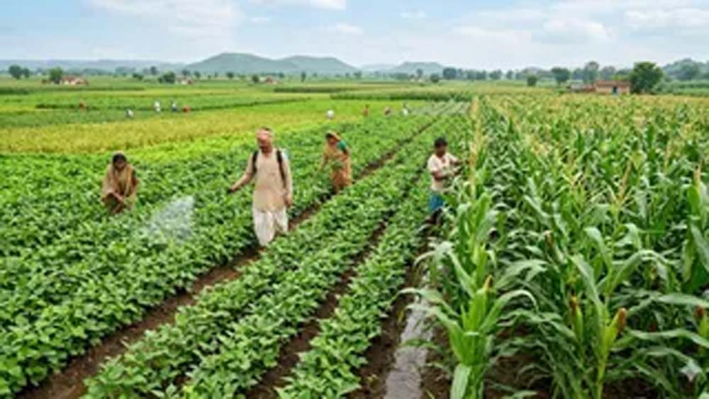 एलोवेरा-अश्वगंधा की खेती पर मिलेगा ₹36 हजार प्रति हेक्टेयर अनुदान एलोवेरा-अश्वगंधा की खेती पर मिलेगा ₹36 हजार प्रति हेक्टेयर अनुदान