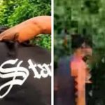 समस्तीपुर में सड़क पर युवकों ने लड़की को घेरा, अभद्रता का वीडियो वायरल समस्तीपुर में सड़क पर युवकों ने लड़की को घेरा, अभद्रता का वीडियो वायरल